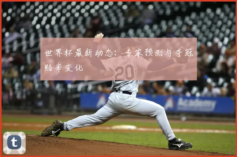 世界杯最新动态：专家预测与夺冠赔率变化